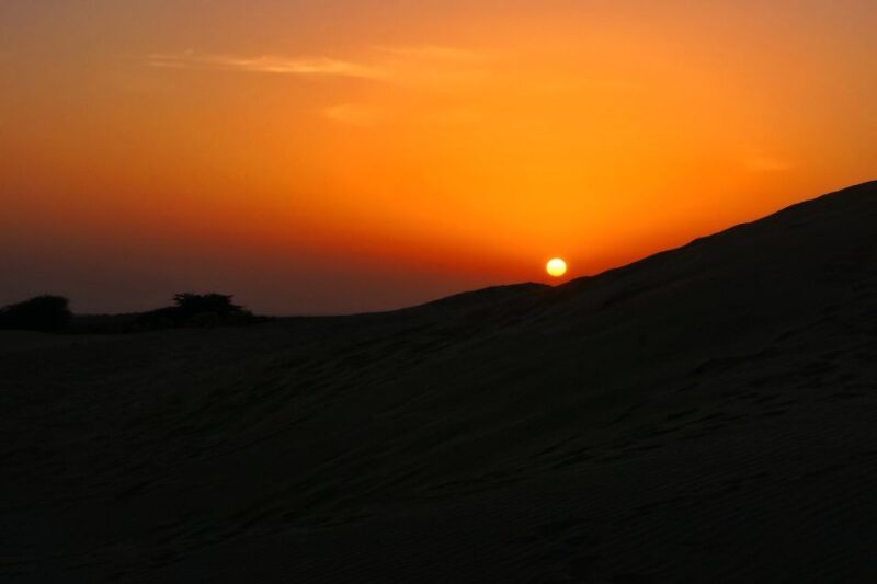 Private Full Day Jaisalmer City Tour (All-Inclusive) - Included Services