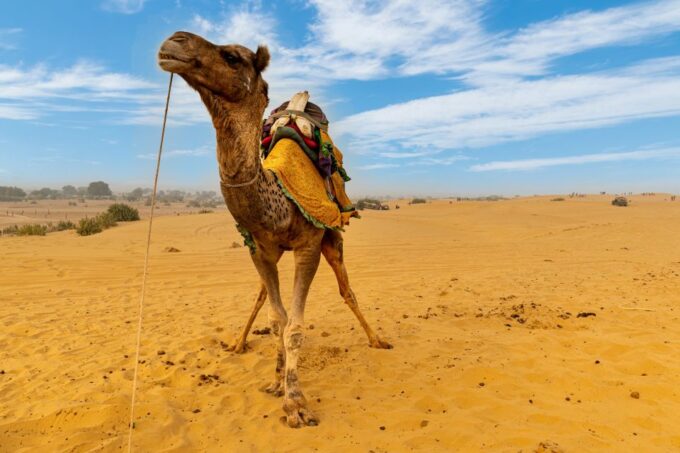 Private Full Day Jaisalmer City Tour (All-Inclusive) - Cancellation Policy