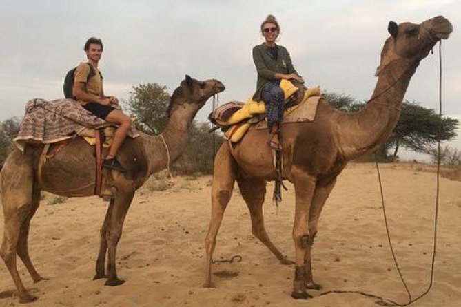 Private Full-Day Jodhpur City Tour and Desert Safari - Meeting and Pickup