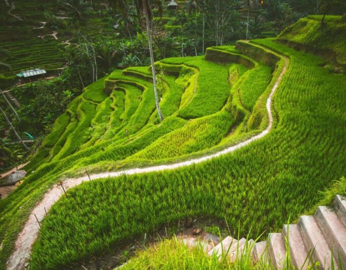 Private Full-Day Lempuyang Gate of Heaven Tour - Customer Experience and Ratings