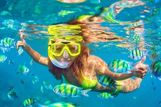 Private Full-Day Lovina Dolphin Watching and Snorkeling Boat Tour - Additional Information