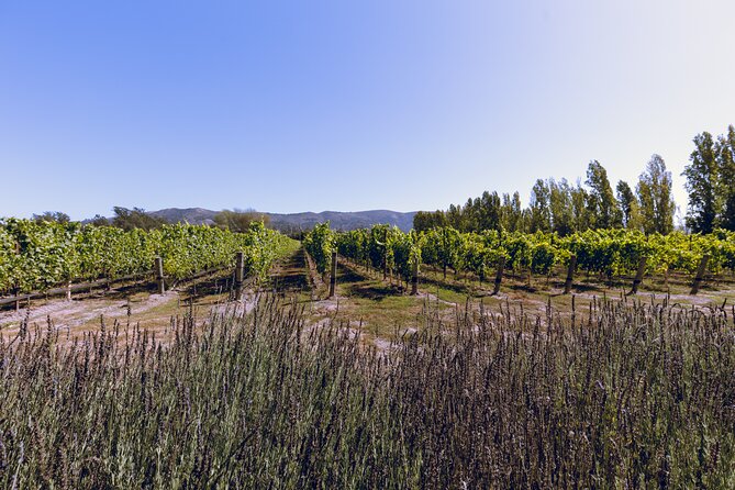Private Full-Day Luxury Transportation From Sonoma - Miscellaneous