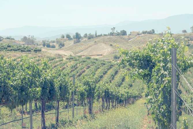 Private Full-Day Luxury Transportation From Temecula Valley - Additional Information