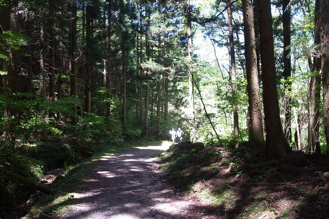 Private Full Day Magome &Tsumago Walking Tour From Nagoya - Logistics and Confirmation