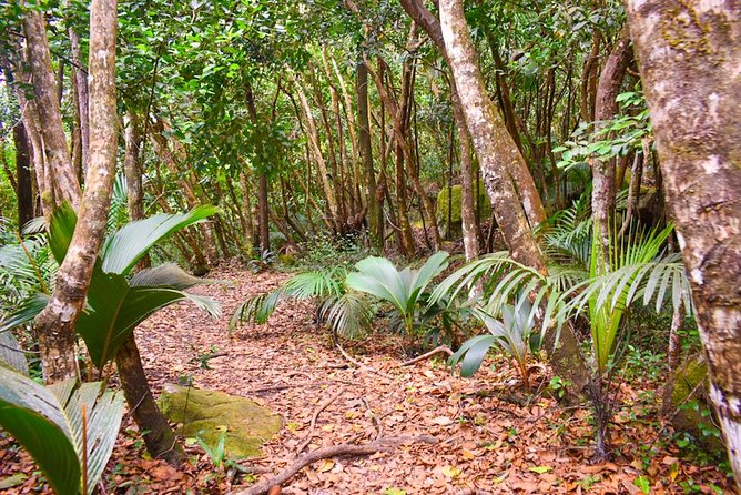 Private Full Day Mahe Island Tour (1-2 Persons) - Mahe Island Attractions