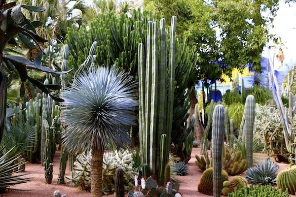 Private Full-Day Marrakech Trip From Agadir - Exploring Marrakechs Medina