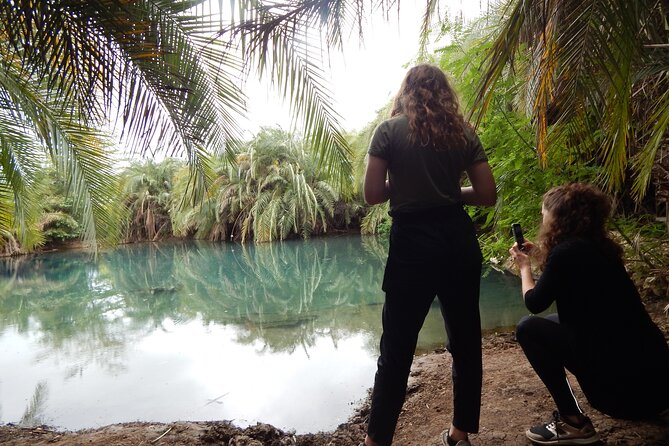 Private Full-Day Materuni Waterfall, Coffee and Hot-spring Tour in Moshi - Key Points