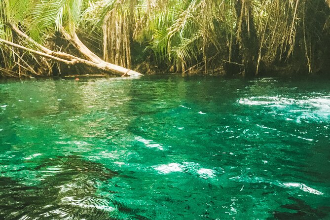 Private Full-Day Materuni Waterfalls and Kikuletwa Hotspring - Key Points