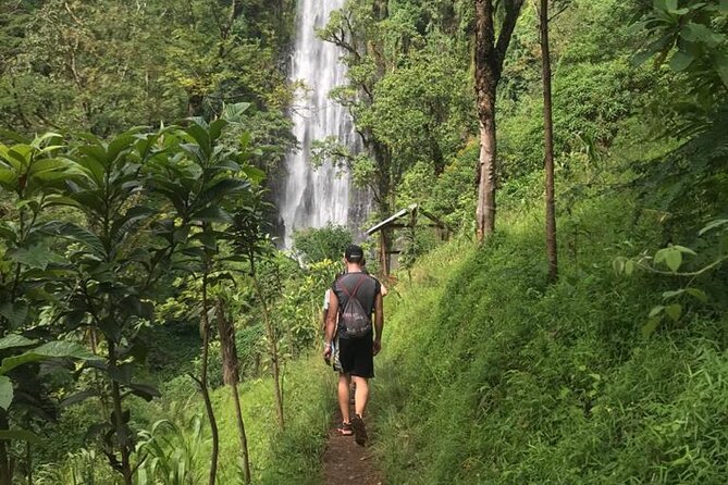 Private Full-Day Materuni Waterfalls and Kikuletwa Hotspring - Meeting and Pickup