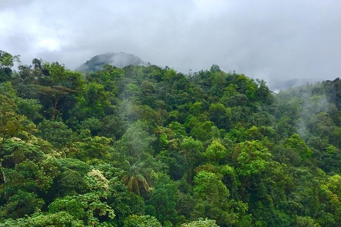 Private Full Day Mindo Tour From Quito - Immersive Cloud Forest Experience