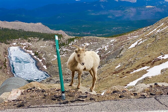 Private Full-Day Mount Blue Sky & Red Rocks Tour From Denver - Enjoy a Customized Private Tour Experience