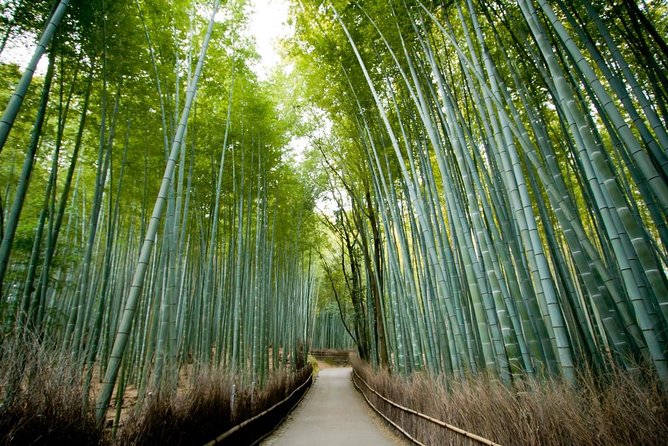 Private Full Day of Kyoto From Osaka/Kobe Port (Shore Excursion) - Not Included