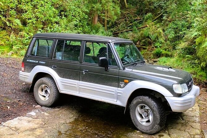 Private Full Day off Road Tour in Azores - Participant Information