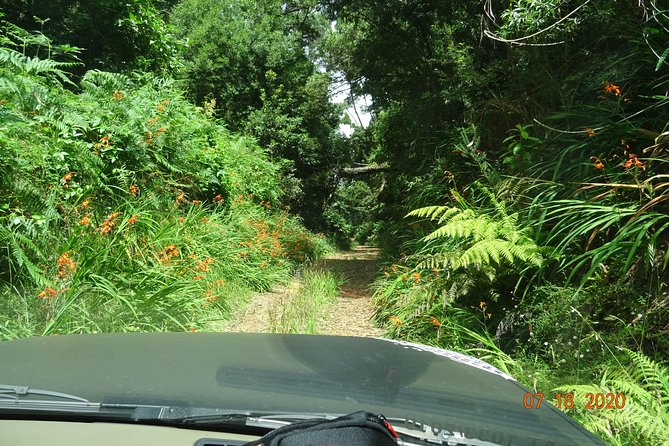 Private Full Day Off-Road Tour in Madeira - Experiencing Local Food Spots
