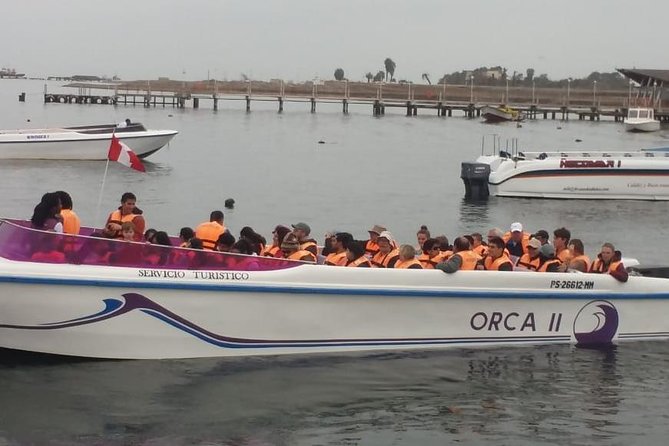 Private Full Day Paracas From Lima - Pickup Information