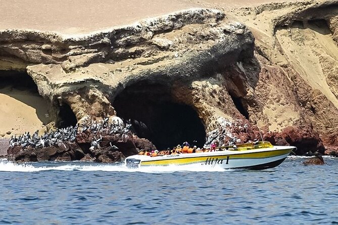 Private Full-Day Paracas Reserve and Ballestas Islands From Lima - Experiencing Paracas Reserve