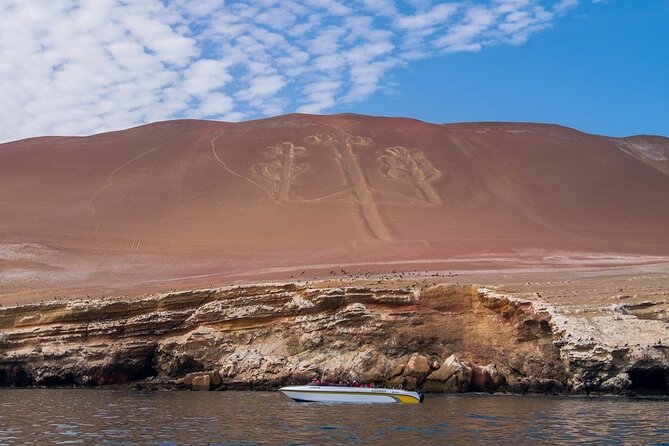Private Full-Day Paracas Reserve and Ballestas Islands From Lima - Exploring Ballestas Islands
