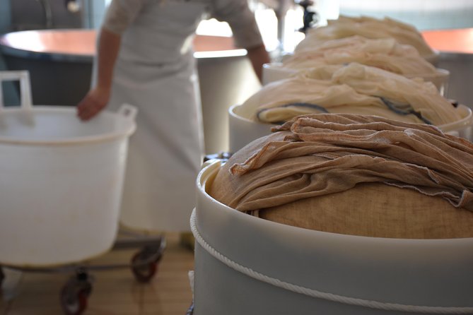 Private Full Day Parma Food Tour: Parmesan Cheese, Parma Ham, Lunch, Vinegar - Requirements and Restrictions