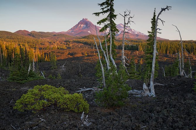 Private Full-Day Photo Tours - Tour Details