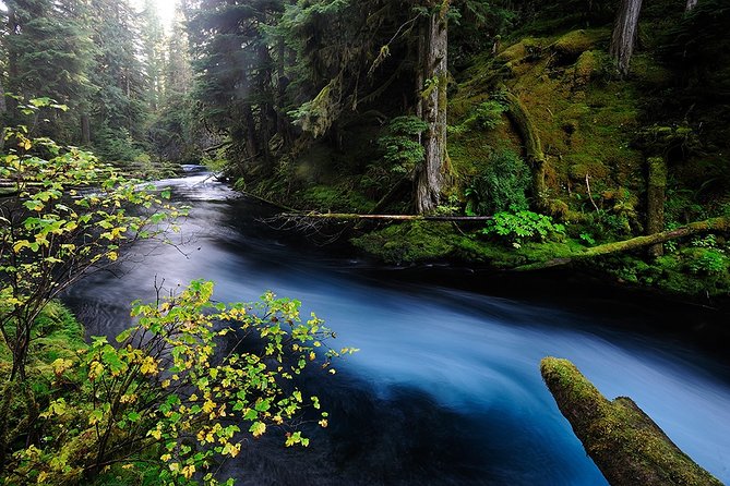 Private Full-Day Photo Tours - Capturing Natures Wonders