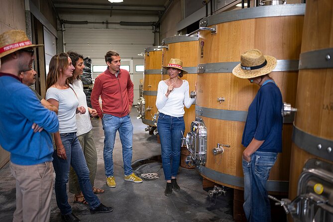 Private Full Day Pic Saint Loup Wine and Olive Tour With Lunch From Montpellier - Olive Oil Estate Tour