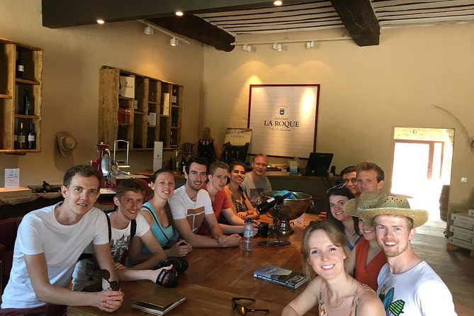 Private Full Day Pic Saint Loup Wine and Olive Tour With Lunch From Montpellier - Booking Information and Inclusions