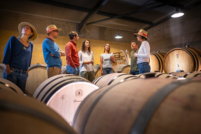 Private Full Day Pic Saint Loup Wine and Olive Tour With Lunch From Montpellier - Traveler Feedback and Reviews