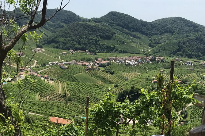 Private Full-Day Prosecco Wine Tour From Venice - Exploring Prosecco Wine Region
