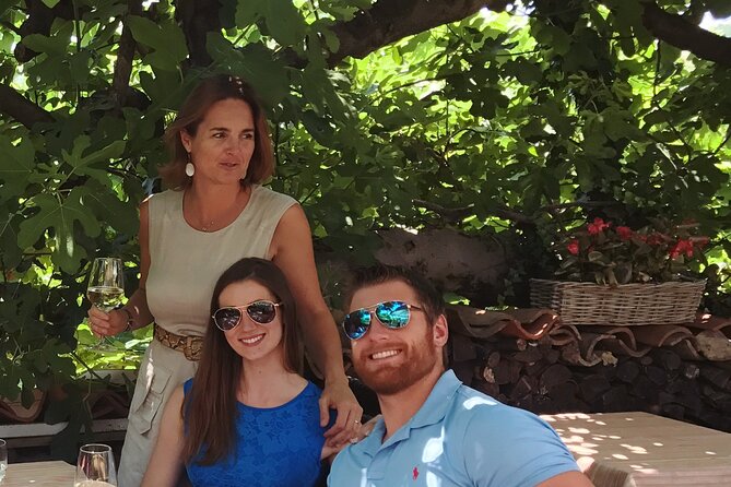 Private Full-Day Prosecco Wine Tour From Venice - Luxury Transportation and Comfort