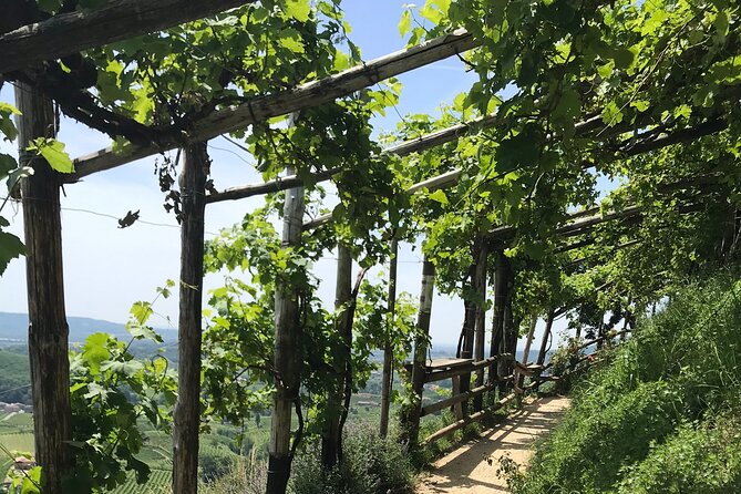 Private Full-Day Prosecco Wine Tour From Venice - Customer Satisfaction and Reviews