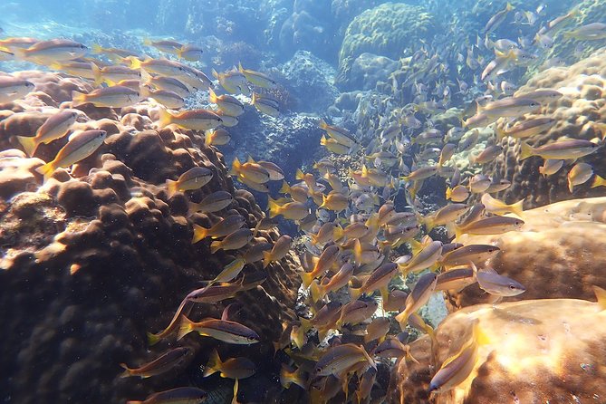 Private Full-Day Red Dragon Yacht to Angthong National Marine Park - Tour Policies and Restrictions