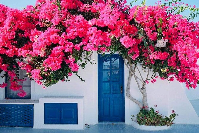 Private Full Day Rhodes Island Tour With Wine Tasting Experience - Pricing and Cancellation Policy