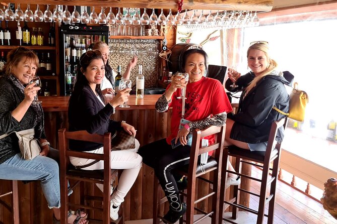 Private Full Day Rhodes Island Tour With Wine Tasting Experience - Reviews and Experiences