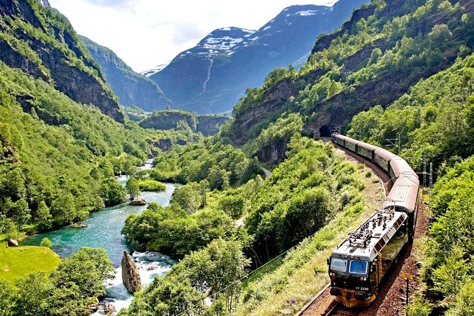 Private Full-Day Round Trip From Oslo to Sognefjord via Flåm Railway - Private Tour Experience