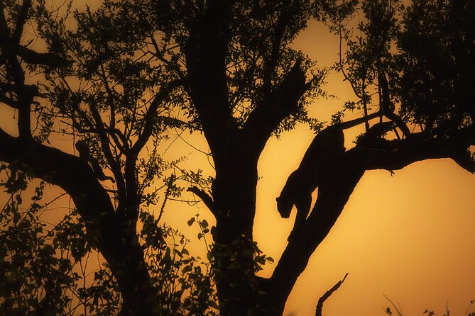 Private Full Day Safari (10 Hours) in Kruger National Park - Pickup and Meeting Point Details