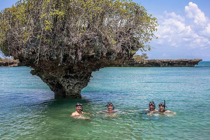 Private Full-Day Safari Blue Trip With Lunch Buffet - About Your Stay