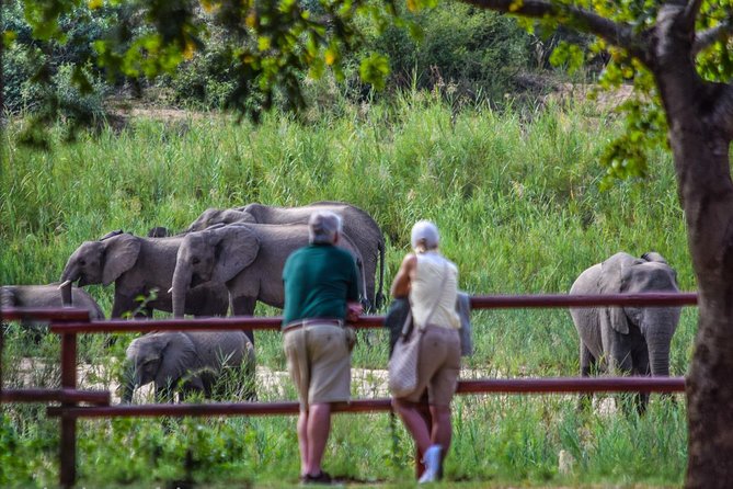 Private Full Day Safari L Kruger National Park From Hazyview or Skukuza - Cancellation and Refund Policy