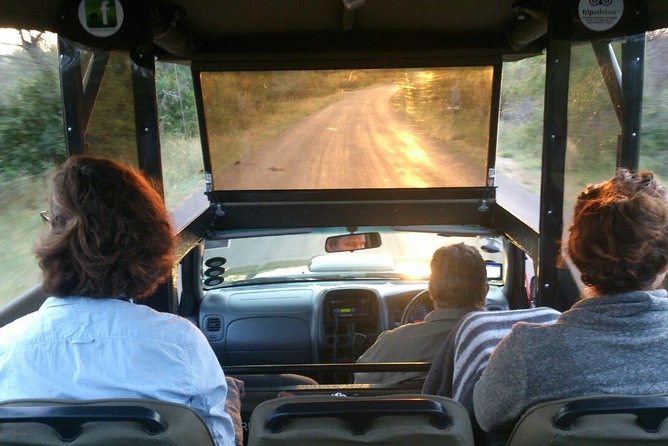 Private Full Day Safari L Kruger National Park From Hazyview or Skukuza - Experienced and Professional Guides