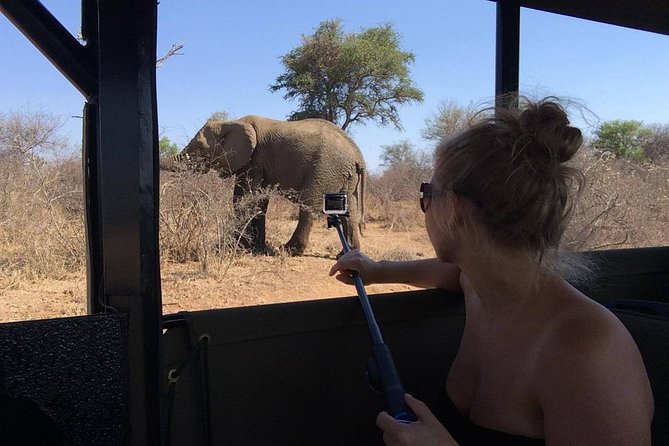 Private Full Day Safari L Kruger National Park From Hazyview or Skukuza - Private Group Accommodations