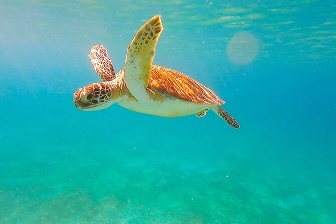 Private Full Day Sail in Virgin Islands National Park - Pickup Location and Pricing