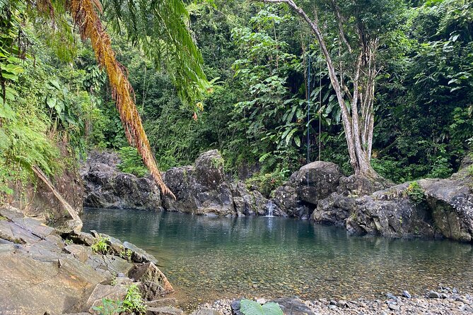 Private Full-Day Secret Hiking Tour to El Yunque Waterfalls - Inclusions and Pricing