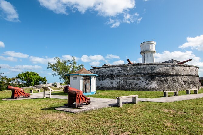 Private Full-Day Shore Excursion in Nassau From Cruise Port - Flexible Itinerary