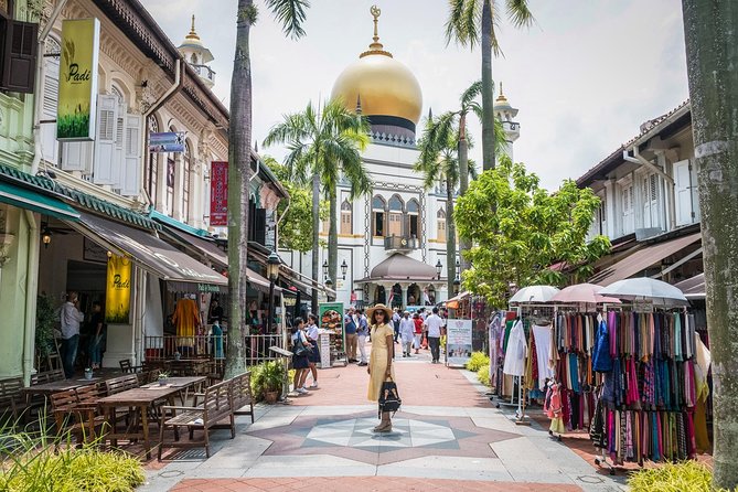 Private Full Day Singapore City Tour With Professional Tour Guide - Tour Overview and Details