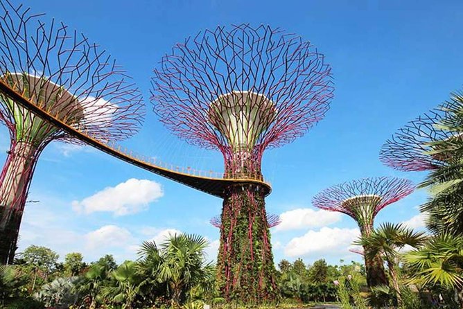 Private Full Day Singapore City Tour With Professional Tour Guide - Explore Singapores Iconic Landmarks