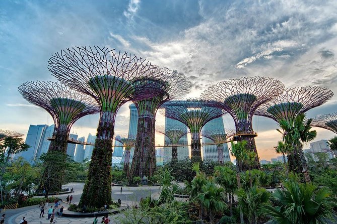 Private Full Day Singapore City Tour With Professional Tour Guide - Flexibility and Customization Options