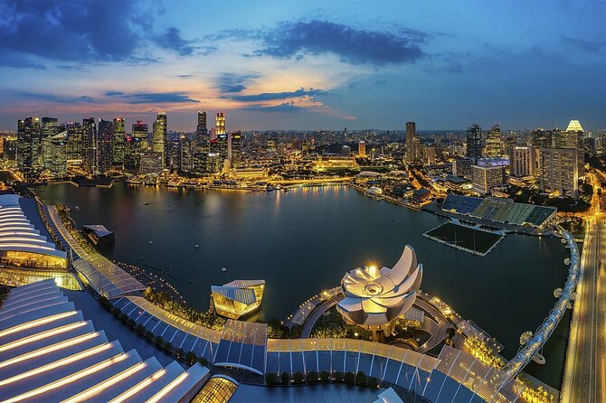 Private Full Day Singapore Highlights Tour - Singapore Flyer