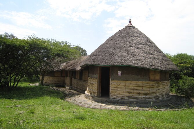 Private Full-Day Stone Age and Medieval Tour From Addis Ababa - Accessibility Information
