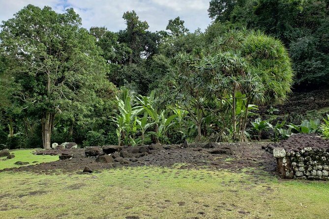 Private Full-Day Tahiti  Grotto, Gardens & Panoramas - Who Is This Tour Best For?