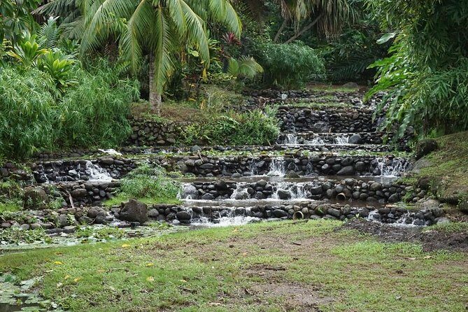 Private Full-Day Tahiti  Grotto, Gardens & Panoramas - Final Thoughts