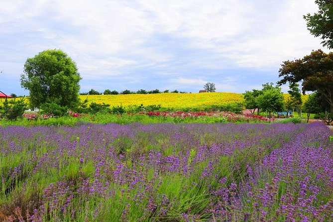 Private Full Day Tour Anseong Farm Land With Gwangmyeong Cave - Exclusions